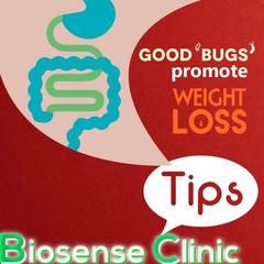 Good ‘bugs’ promote weight loss