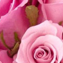 Featured product: Biozkin Pure Damask Rose Squalene serum