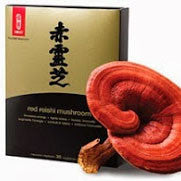 Red Reishi mushroom benefits & information
