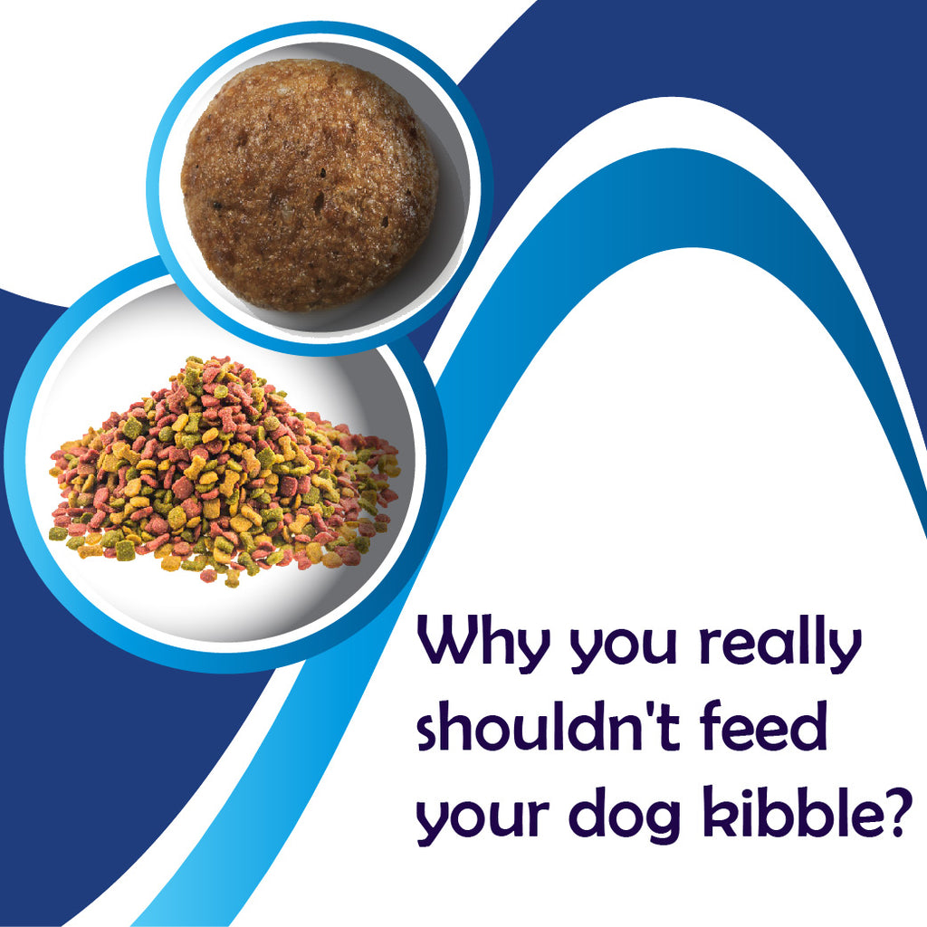 Why you really shouldn't feed your dog kibble?