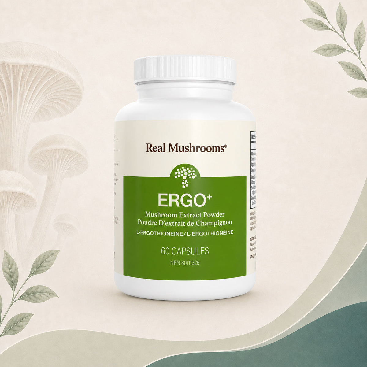 Ergo+ Ergothioneine Supplement - BiosenseClinic