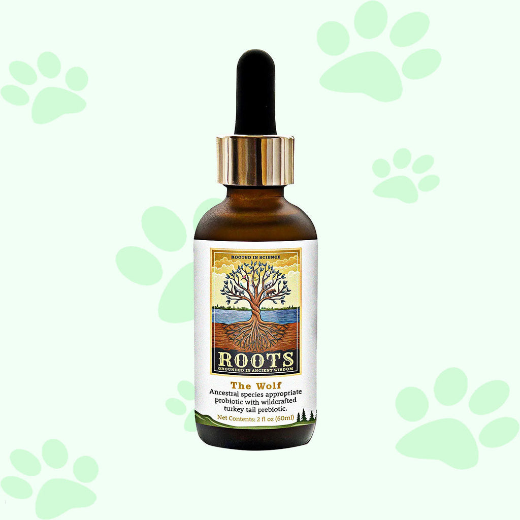 Adored Beast The Wolf | Species Appropriate Probiotic - biosense-clinic.com
